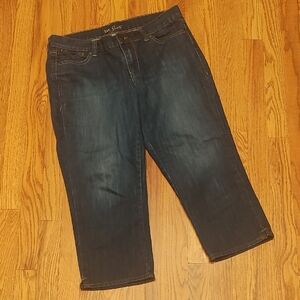 Old Navy Dark Wash Crop Jeans